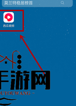 《西瓜视频》支付密码重置教程